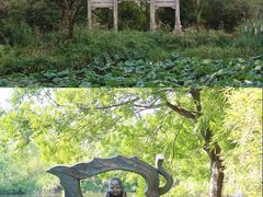 -西溪国家湿地公园