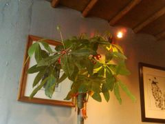 三楼-沈记菜馆(酒仙桥路店)