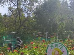 -王府井奥莱棋盘山小镇