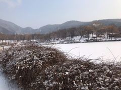 -红楼梦邮局