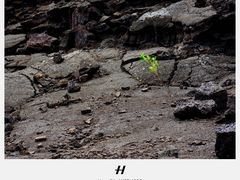 -夏威夷火山国家公园