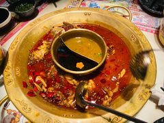 -哥老官重庆美蛙鱼头(五角场合生汇店)