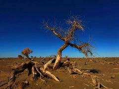 -沙漠世界地质公园