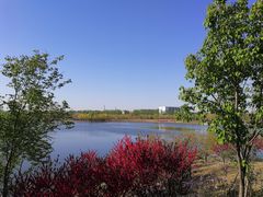 -东郊湿地公园