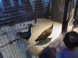 -酷嗒动物文化乐园(cutezoo西溪乐天城店)