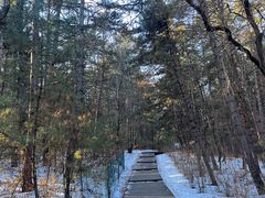 -帽儿山国家森林公园