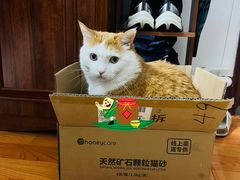 -美联众合爱康动物医院•复杂内科•肿瘤科•牙科•腔镜诊疗中心