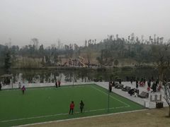-东岳体育公园