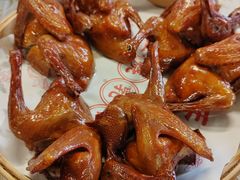 -百利鸽王(紫薇路店)