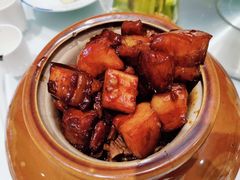 -沪碟·精菜坊(闵行店)