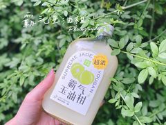 霸气玉油柑-奈雪的茶(石家庄万象城店)
