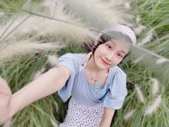 -白鹭湾湿地公园