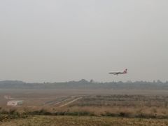 -空港花田景区