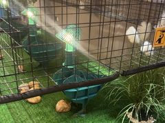 -映像威海·威海宴(威高广场店)