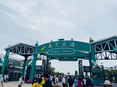 -荷兰花海