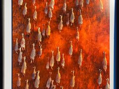 -罗红摄影艺术馆