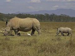 -泉州海丝野生动物世界