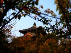 -西安青龙寺遗址景区