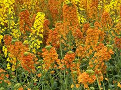 -中国天府农业博览园