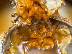 -黄记大闸蟹专卖店·活蟹·醉蟹
