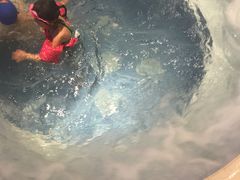 -水晶之星洗浴温泉汗蒸