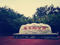 -莲花池公园