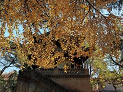 -大慈恩寺(大雁塔)