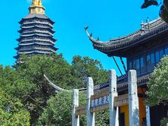 -红梅公园
