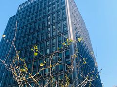 -陆家嘴世纪金融广场