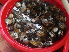 -飞霞风景名胜区