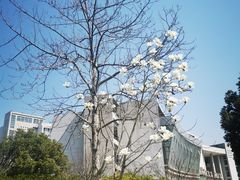 -南京工程学院(江宁校区)
