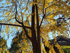 -无锡惠山寺