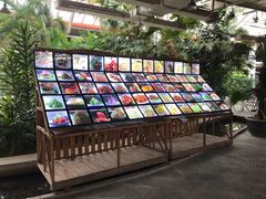 -红栌温泉山庄生态美食餐厅