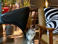 -咖法森林·咖啡  酒吧(天河店)