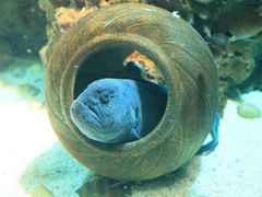 -南昌融创海世界
