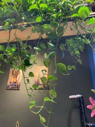 -藤野造型·专业烫染店