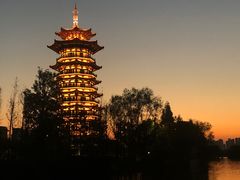 -洋湖国家湿地公园