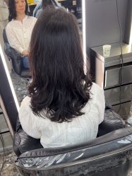 -藤野造型烫染优质