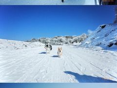 -太子岭滑雪场