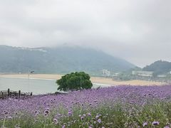-南麂列岛