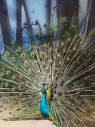 -酷嗒动物文化乐园(cutezoo西溪乐天城店)