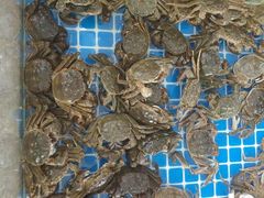 -半岛听涛蒸汽海鲜自助(K11店)