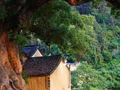 -杨家堂村