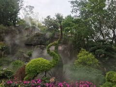 -深圳仙湖植物园-停车场