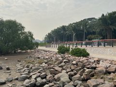 -深圳湾公园(南山区)