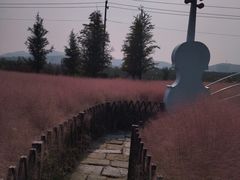 -羊亭河湿地公园