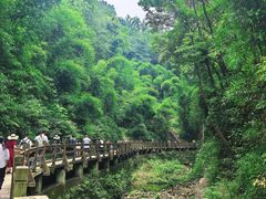 -凤栖山