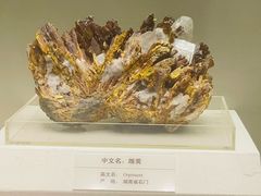 -天津自然博物馆