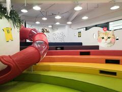 -乐融儿童之家早教托育(台州校区)