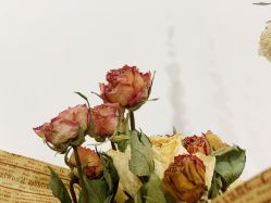 -CM.Nail美甲美睫